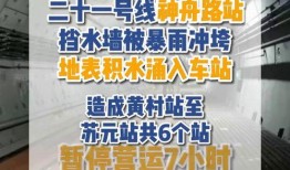 广东地铁爆料事件最新,揭秘背后真相与公众关注焦点